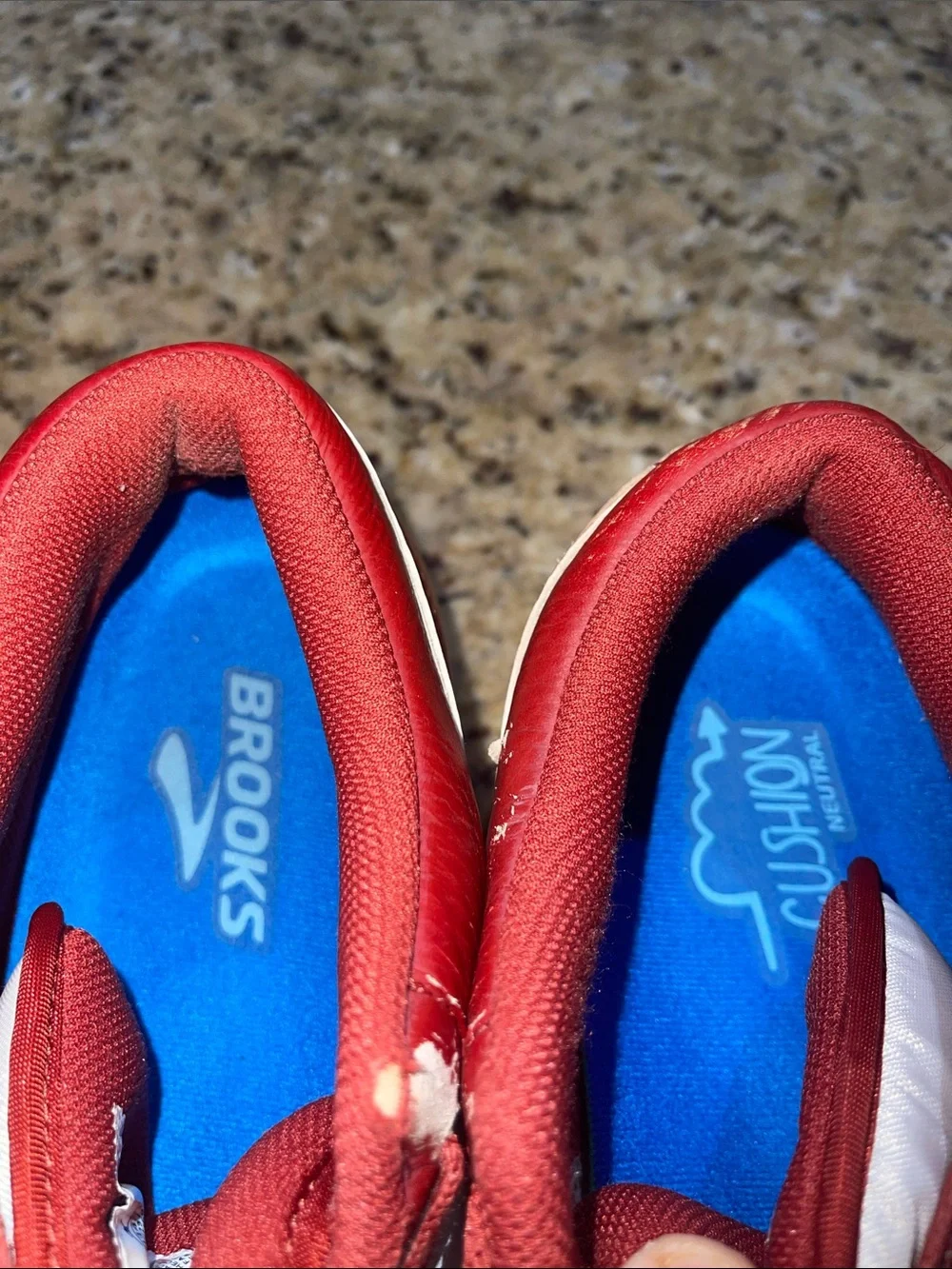 Jordan 1 Low Dune Red